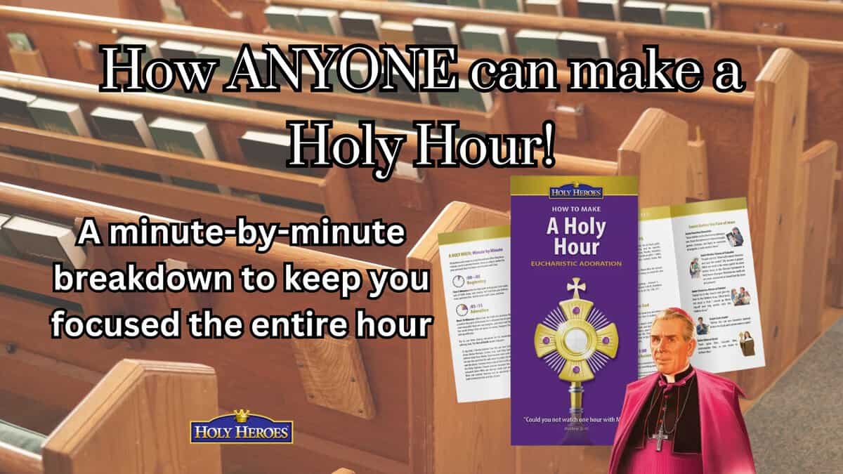 Fulton Sheen's Daily Request (anyone can do it!)