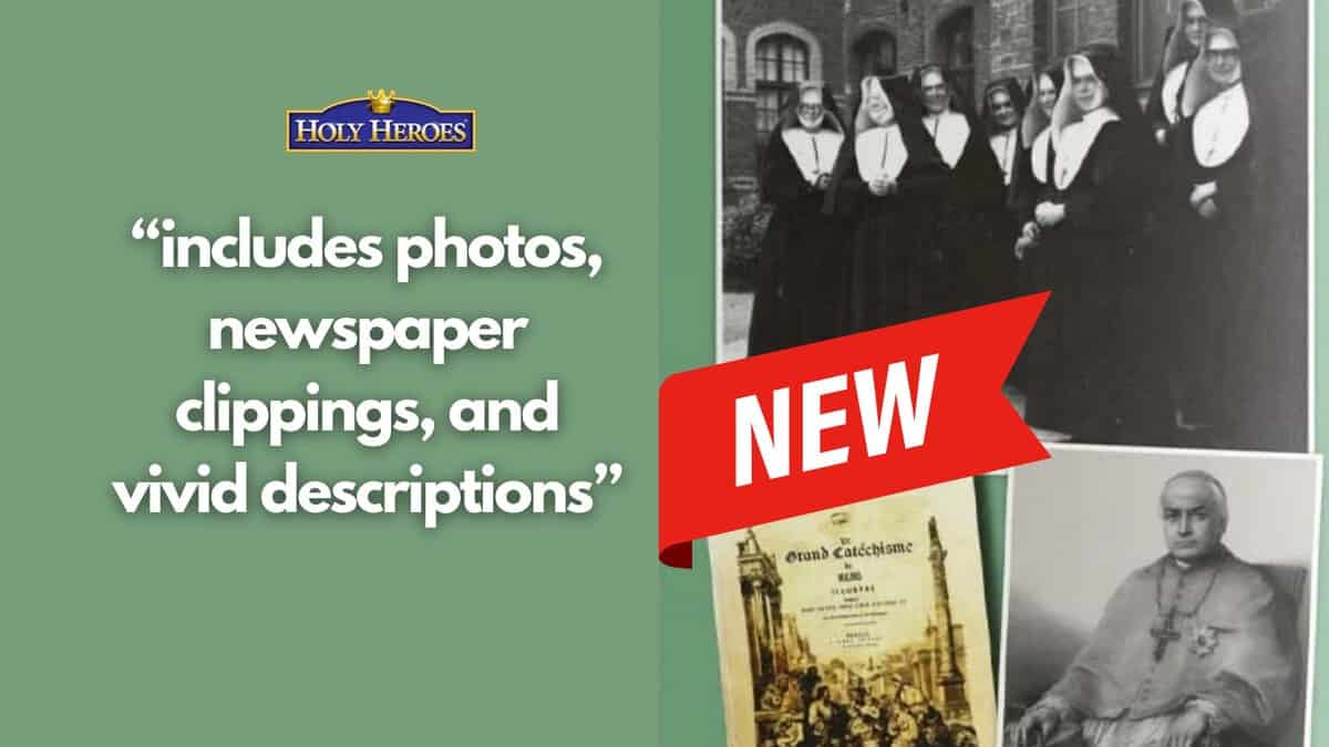 NEW: for Homeschool Moms with 9-15 year olds!